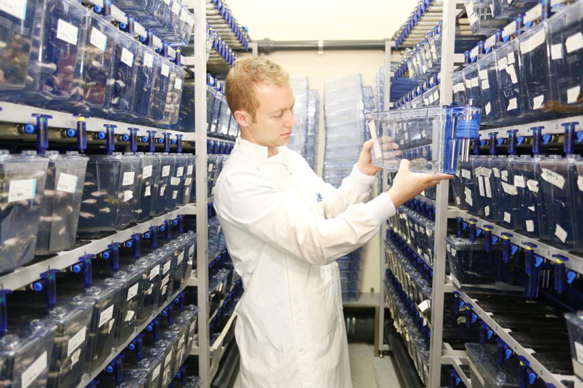 Dr Ben Hogan with some of his zebrafish tanks