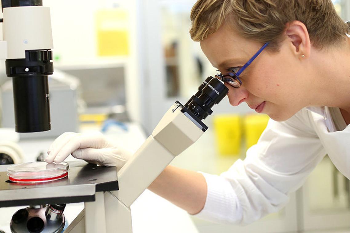 Dr Kate Schroder, Deputy Director, IMB Centre for Inflammation Research