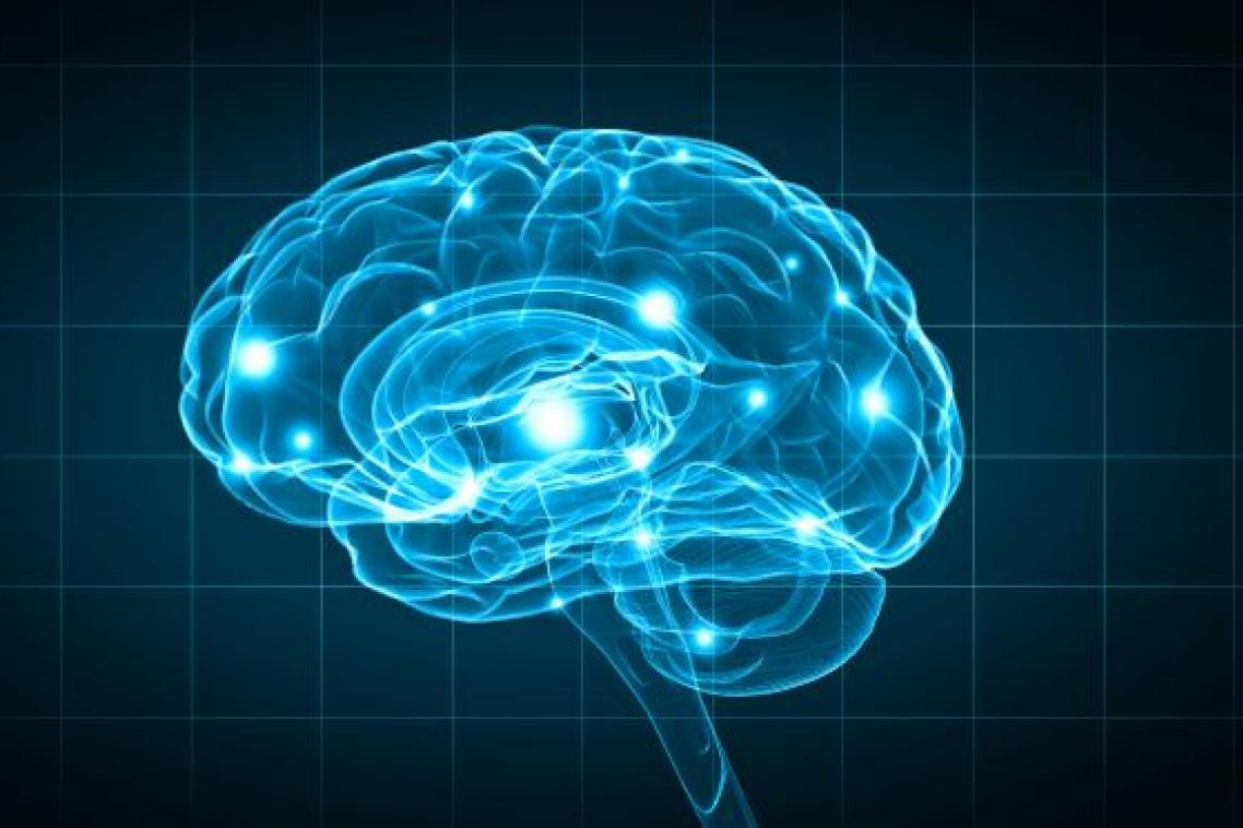 Artist impression of the outline of a brain