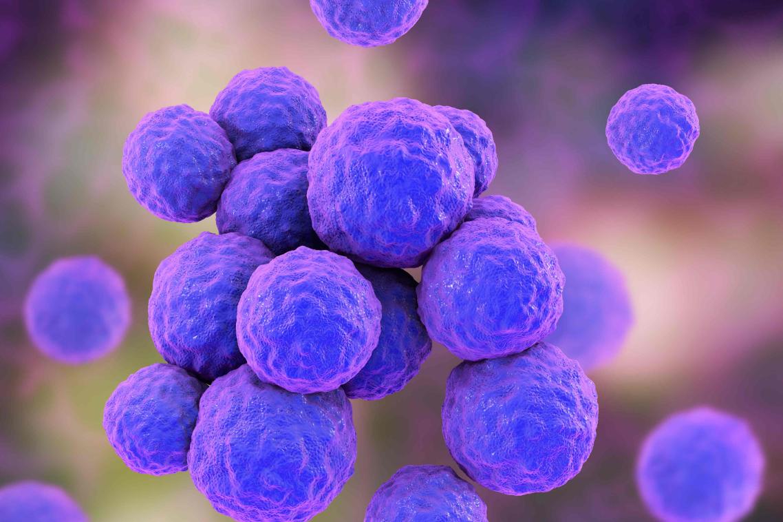 An extra membrane camouflages Gram-negative bacteria from drugs and the immune system.