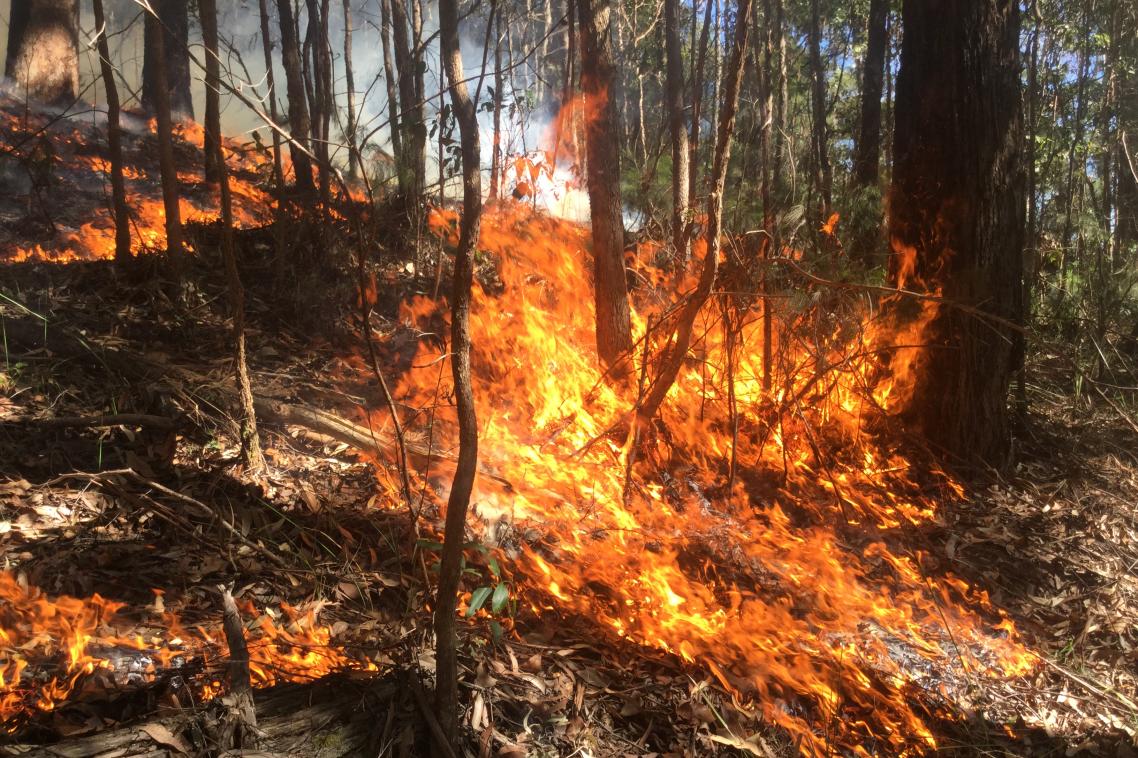 Bushfire 2016: Connecting Science, People and Practice will tackle the burning questions.