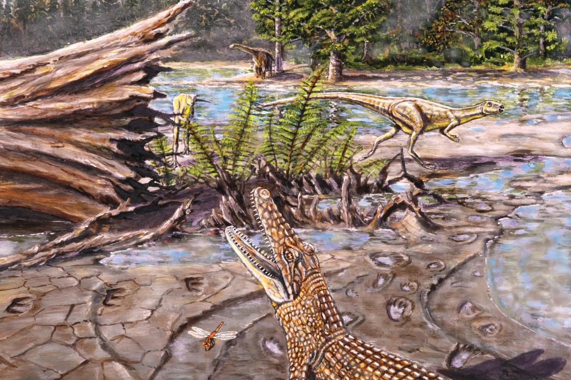 An artist’s rendering of Isisfordia duncani. Credit: Matt Herne.