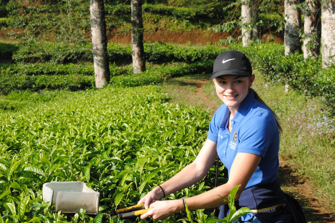 Jessica Harper sitting amidst green-coloured crops