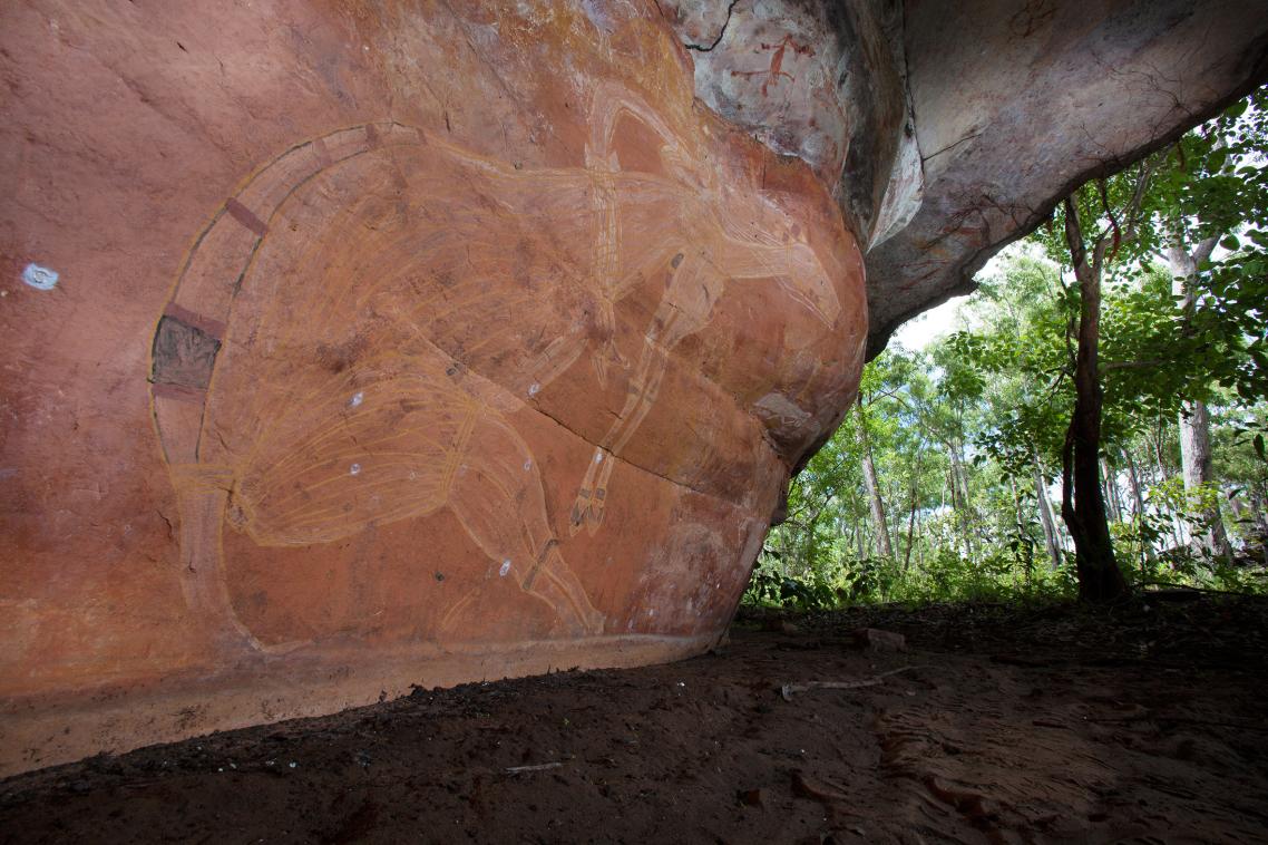 Kangaroo horse: Aboriginal artists with a visual template for macropods drew kangaroo-like representations of their first impressions of horses. Copyright David Hancock Skyscans