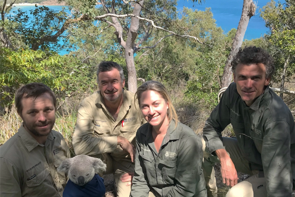 Koala Ecology Group