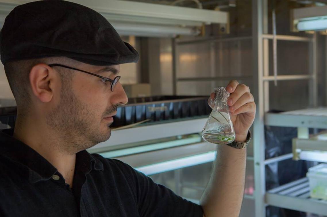 Konstantinos Vavitsas is exploring the potential of cyanobacteria 