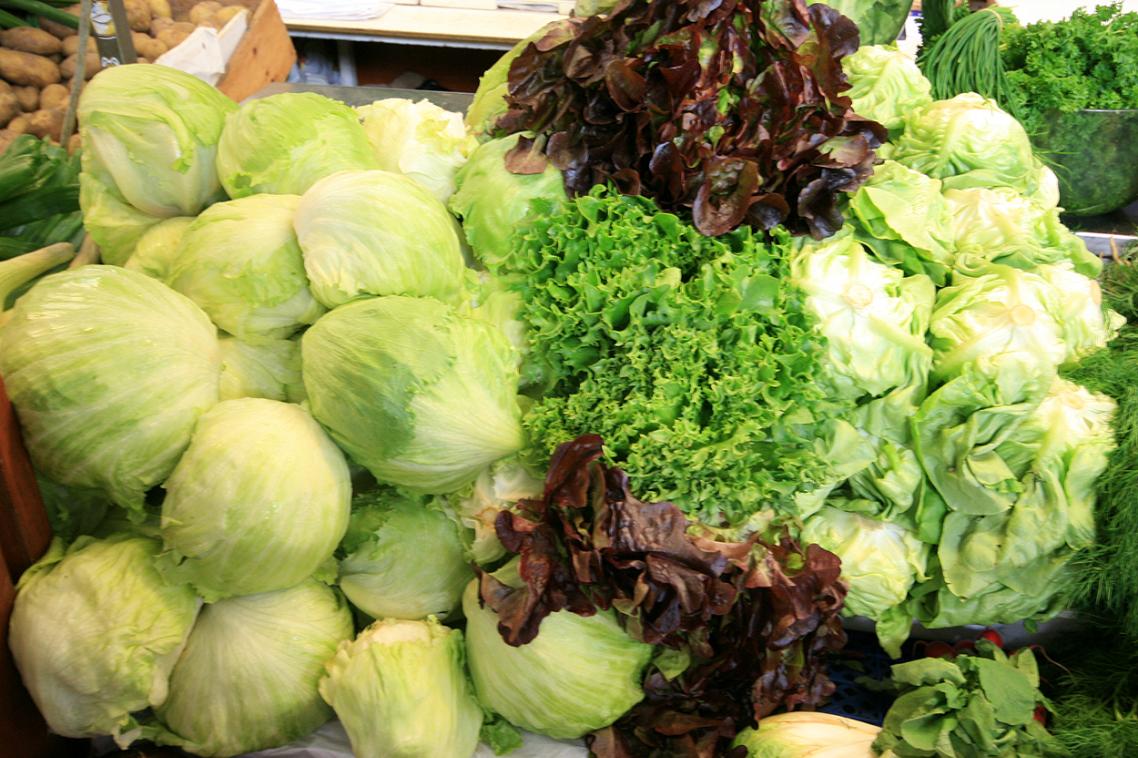 More than 300 people in Victoria and South Australia suffered food poisoning in salmonella outbreaks this year linked with bagged salads and sprouts.
