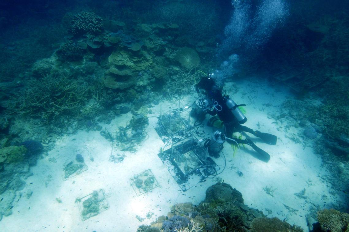 Marine biology masters student Lilianna Pap sets up equipment from the mini-reefs.