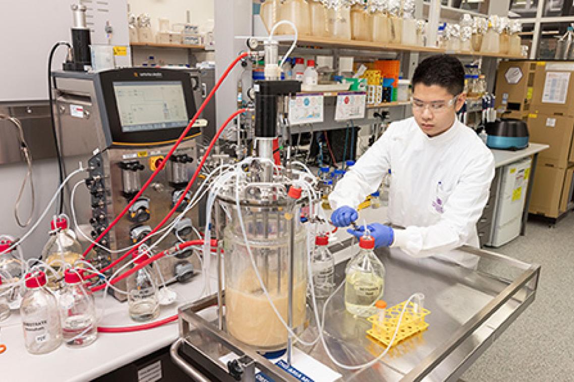 A man wearing a lab coat and safety goggles using a large piece of equipment in a laboratory. The equipment consists of a large half-filled container with tubes directed into several smaller containers.