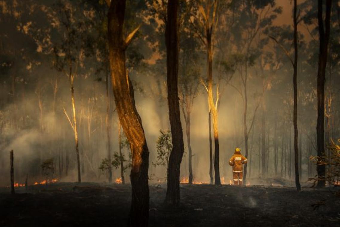 a person in orange overalls wearing a helmet stands by small flames among smoking trees