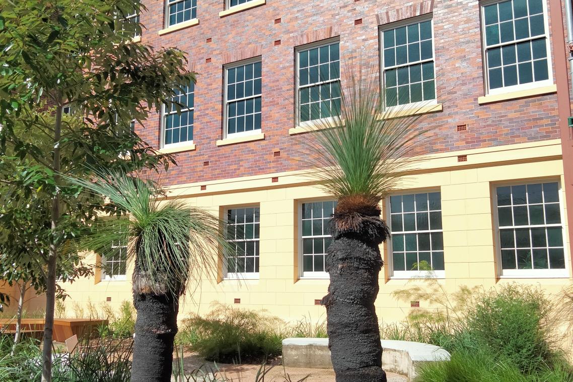A native plant garden in front of a brick building