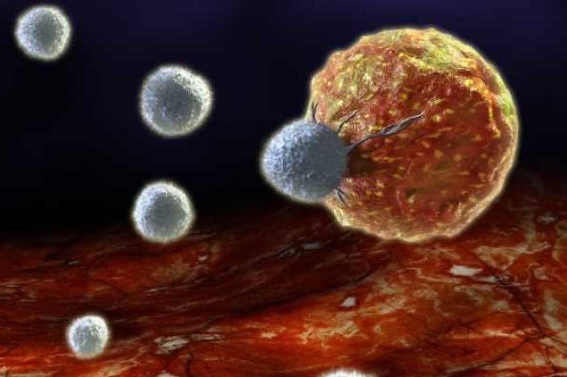 The attack of a tumour cell made by white blood cells of the patient (lymphocytes) generated by cancer vaccines. 