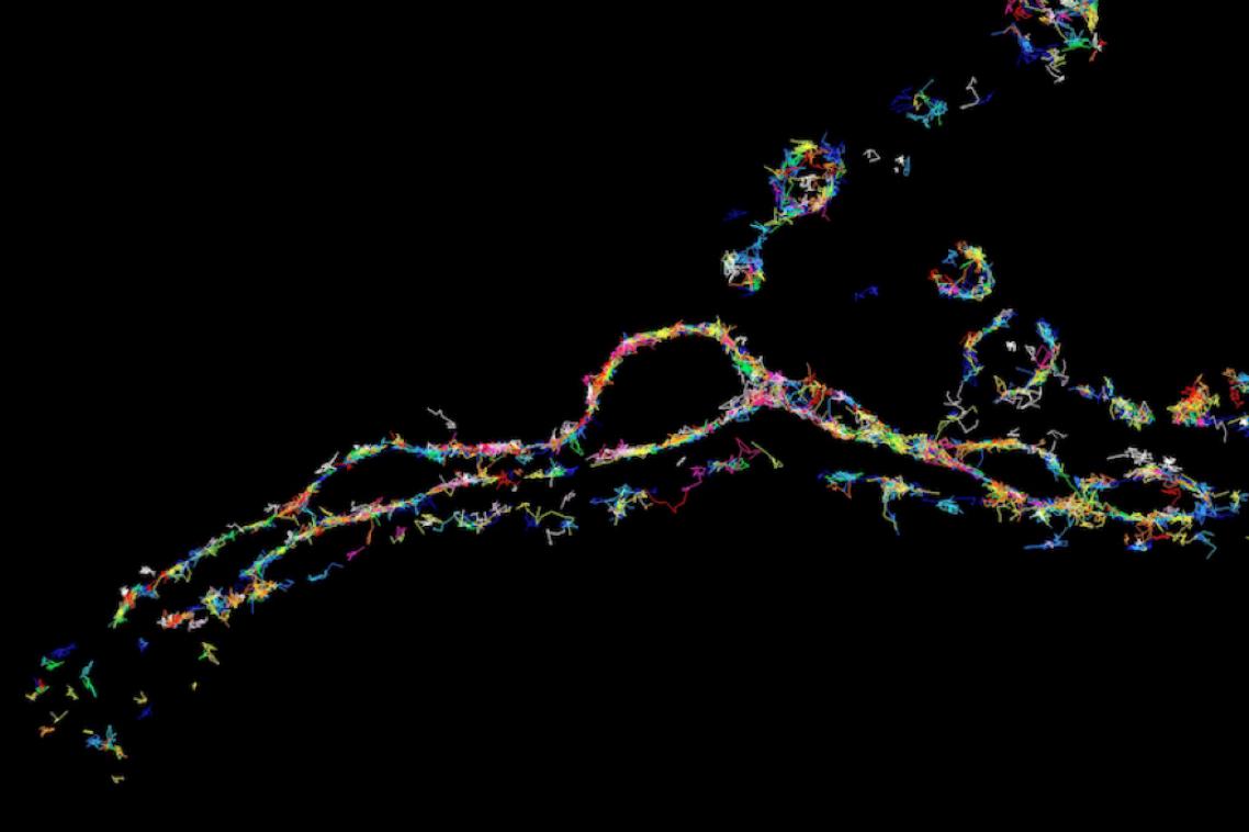 Protein essential for neuronal communication viewed via super-resolution microscopy