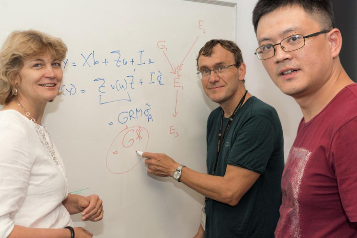 Professor Naomi Wray, Professor Peter Visscher and Associate Professor Jian Yang ... analysing very large data sets.