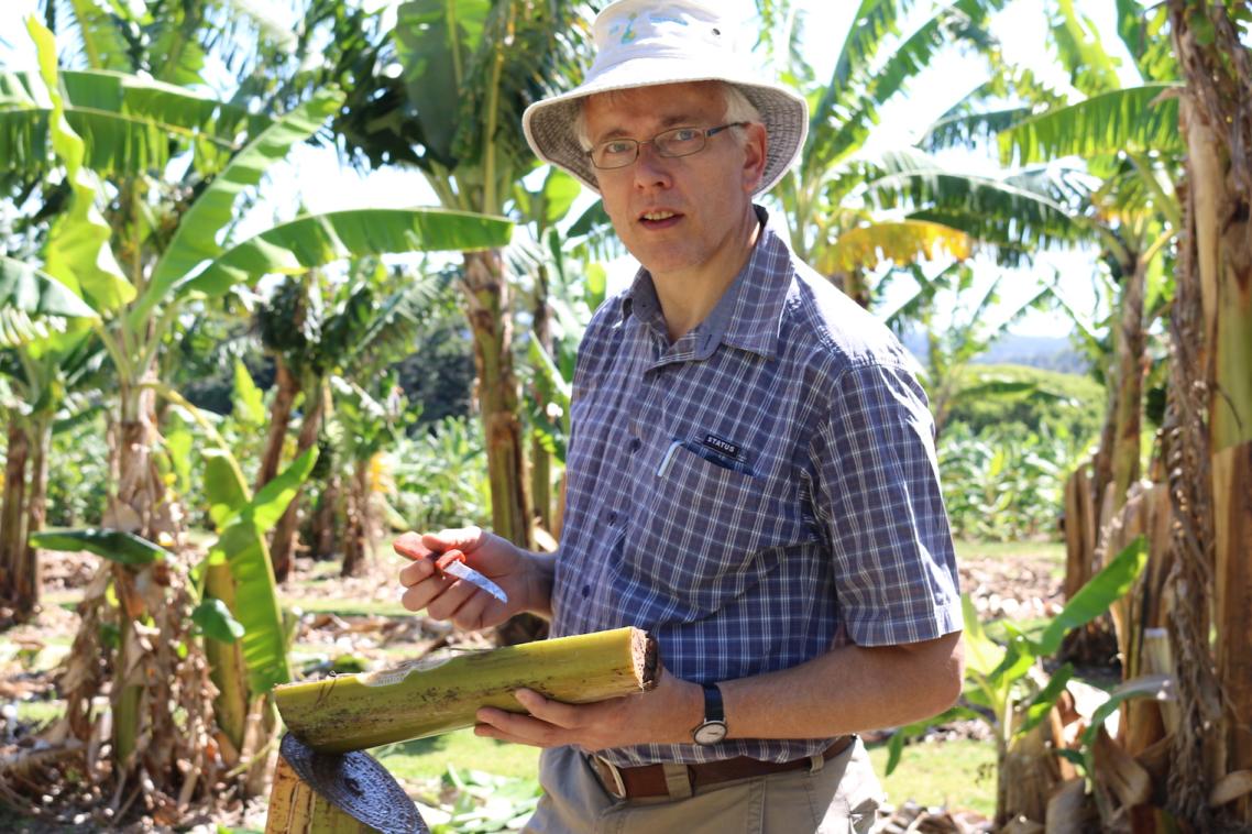 Professor Andre Drenth