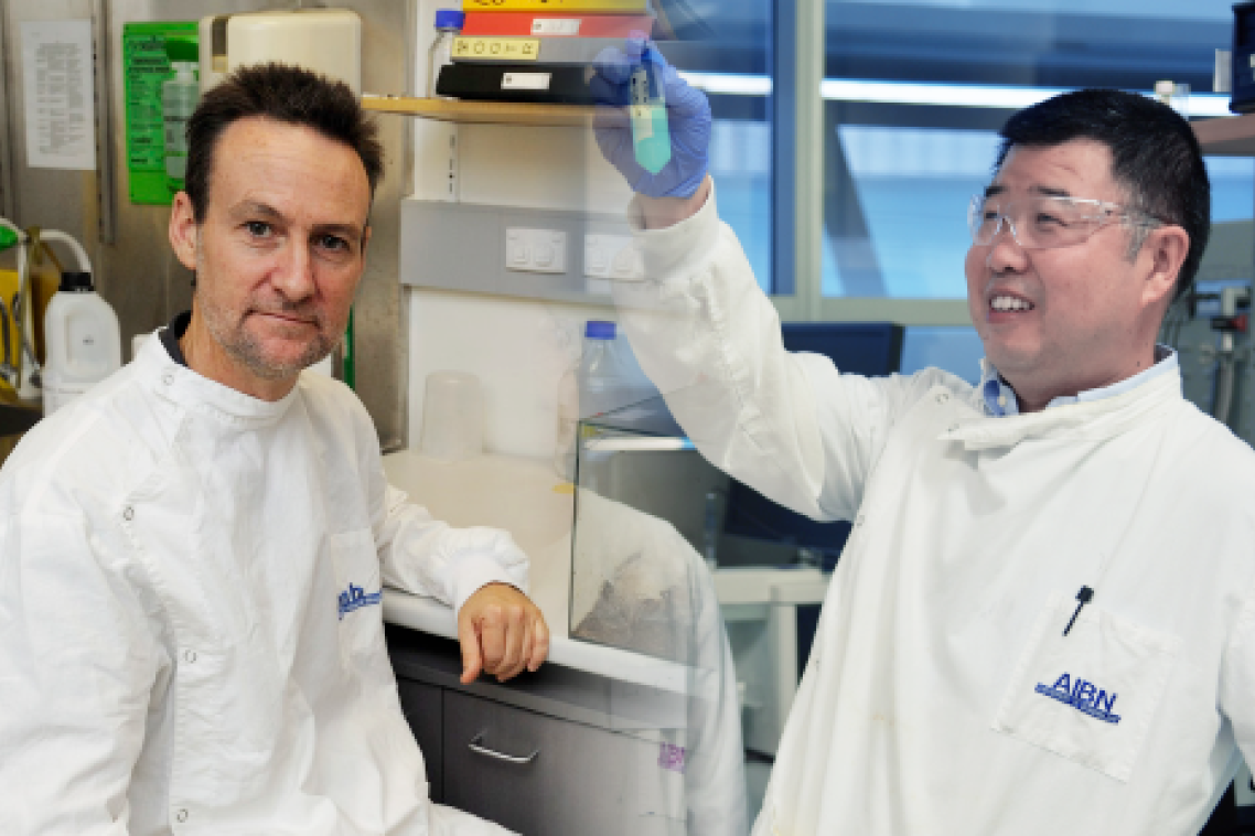 IMB’s Professor Glenn King and ) Professor Zhi Ping (Gordon) Xu.