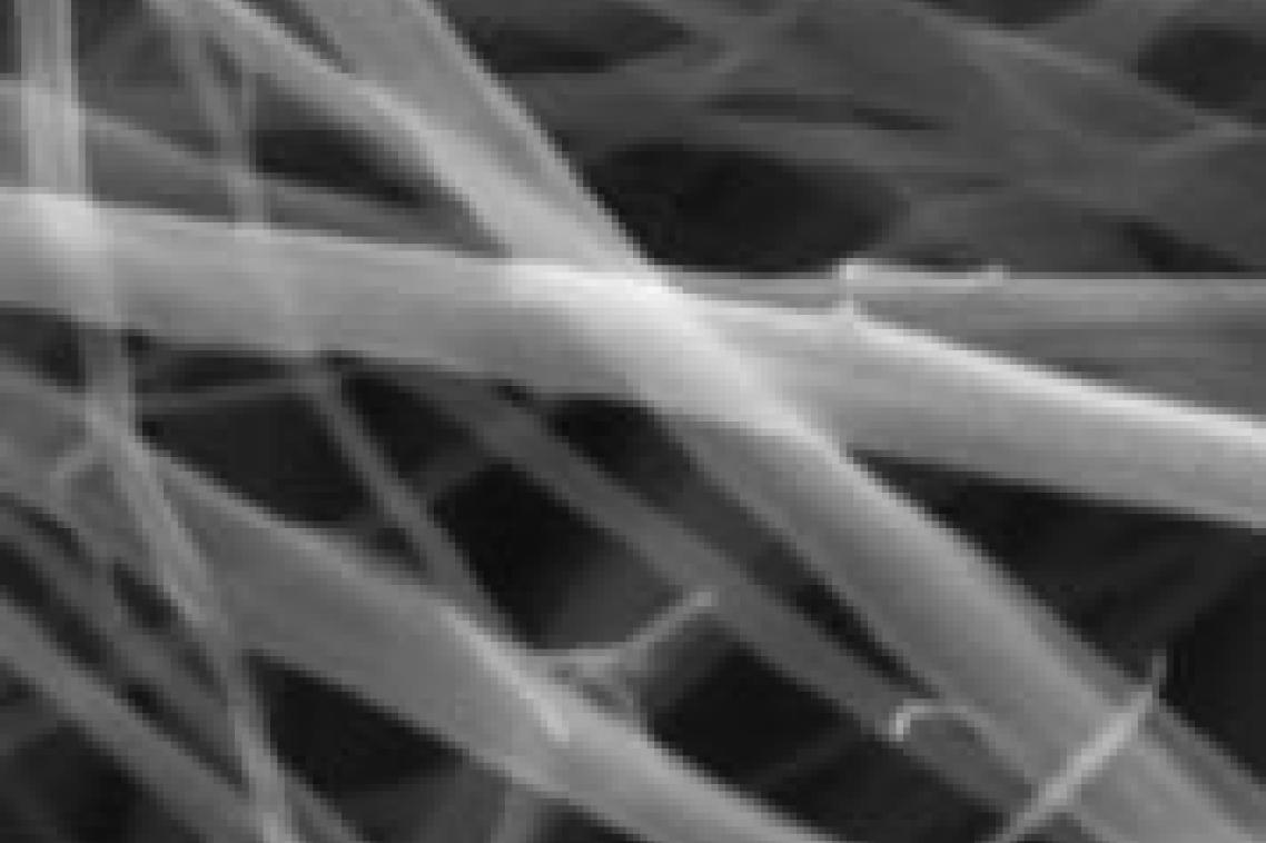 Close up of cellulose fibre network