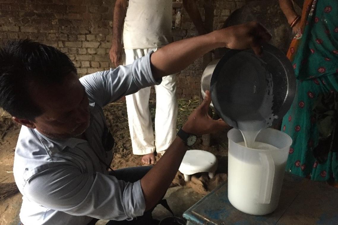 Indian smallholder farmer measuring milk. Photo credit: Professor Ben Hayes