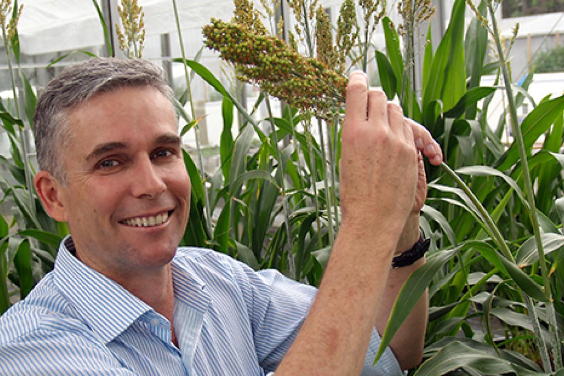 Professor Ian Godwin