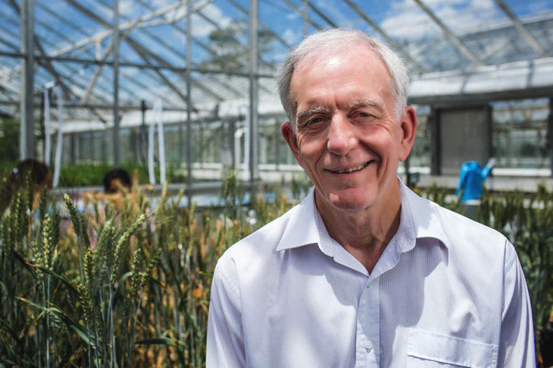 Professor Henry is conducting the first gene-editing experiments to effectively produce biofuels and bioplastics