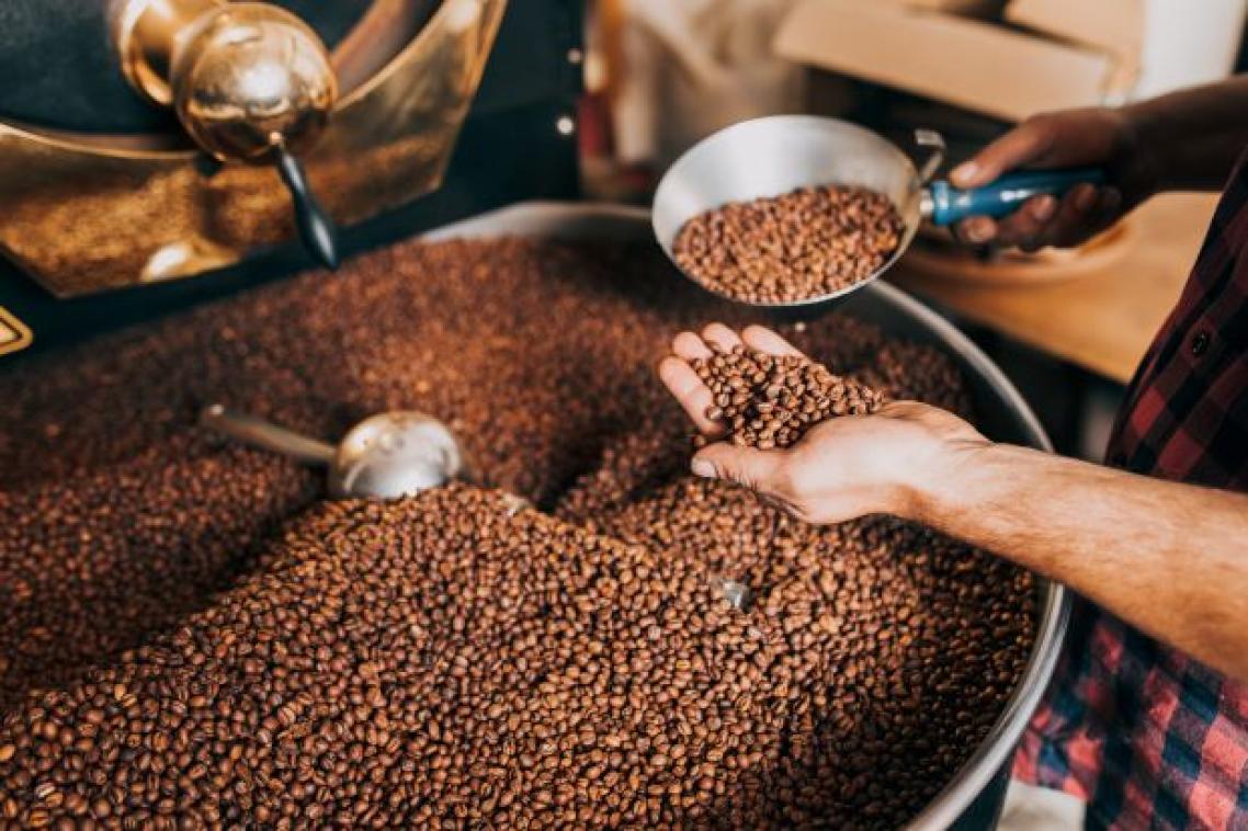 A hand scooping into a barrel of coffee beans