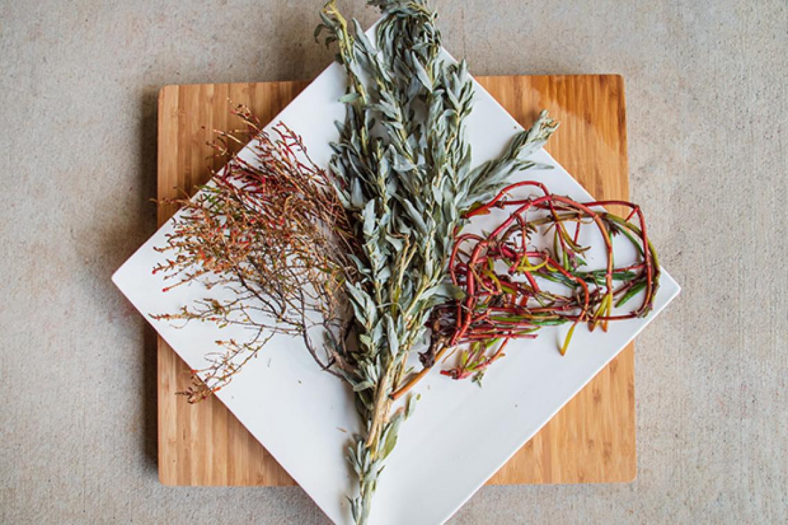 Sprigs of three plants arranged on a white, square plate which sits on a time board