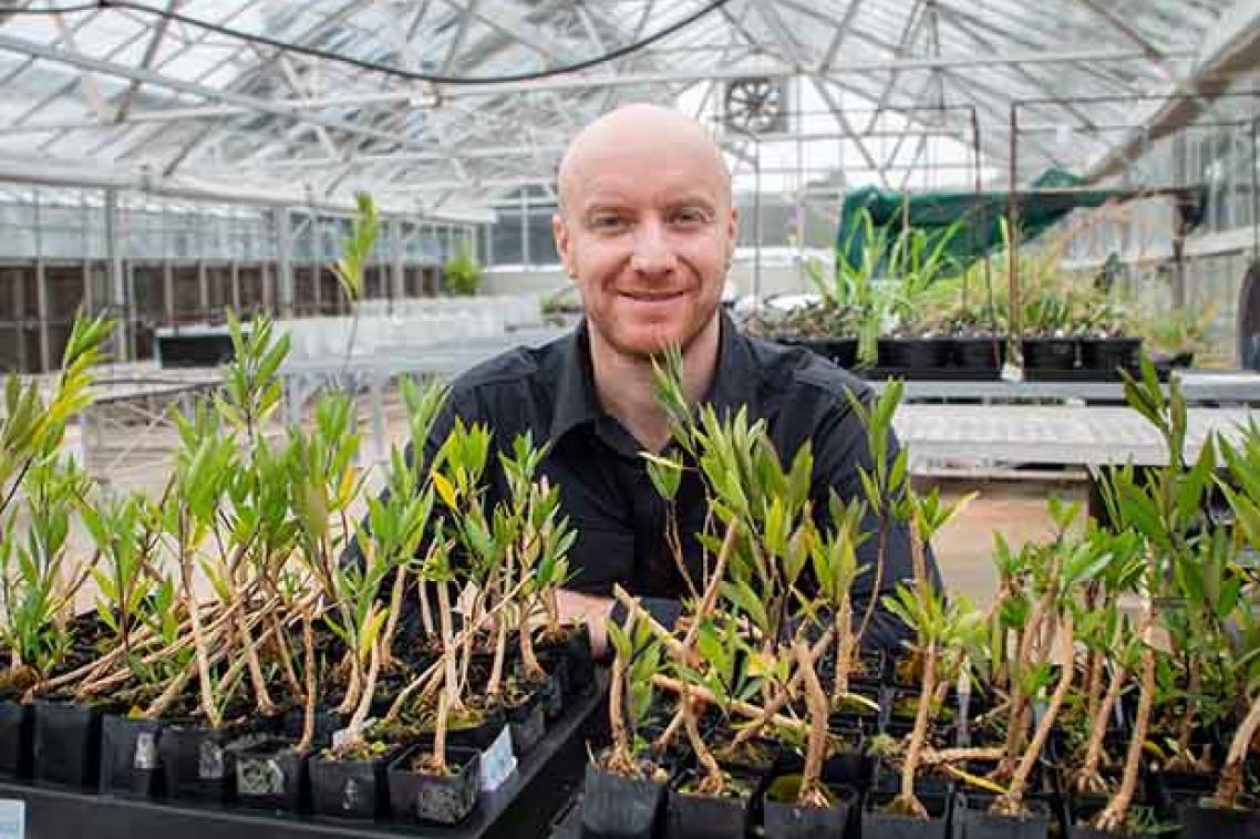 a man with a beard sits behind a tray of small plants in a glasshouse