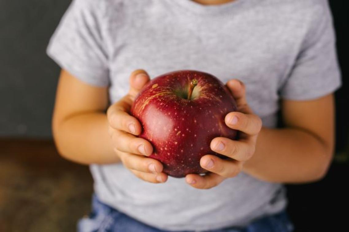 A close up image of a child's hands holing a large red apple.