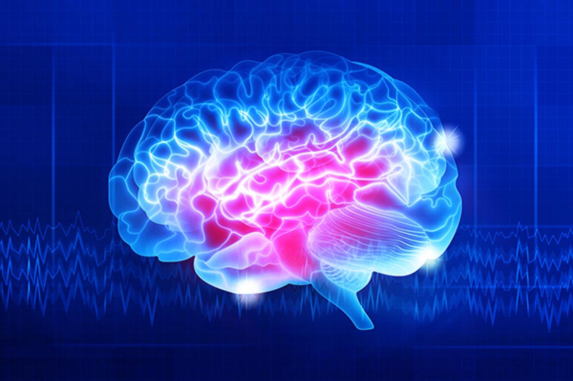 Blue-coloured image of the brain with pink sections and white connections