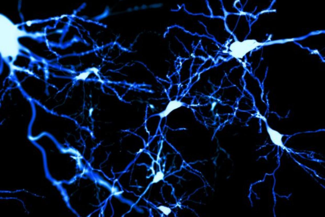 A graphic of light blue tissue connecting at points against a dark blue background.