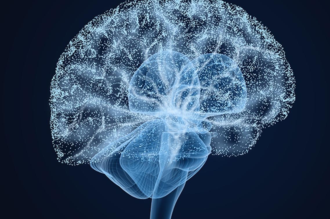A graphic depiction of a brain in light blue on a dark background