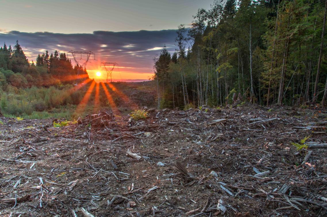 Most protected areas are isolated in a sea of human activities. Image: James Wheeler