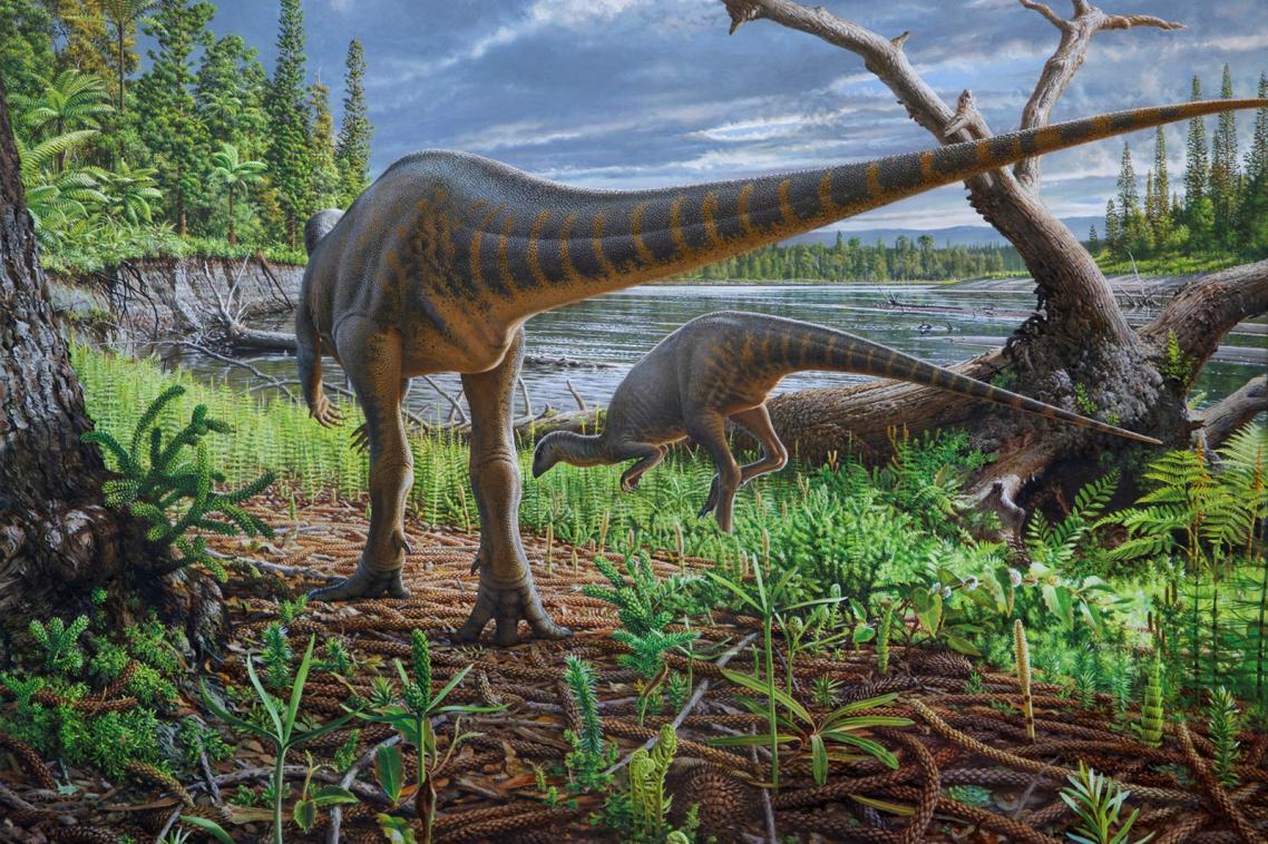 Artist’s impression of Diluvicursor pickeringi foraging in the Australian-Antarctic rift valley. Painting: Peter Trusler.