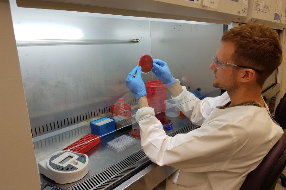 The University of Queensland’s Dr Stephan Brouwer is helping reveal why scarlet fever is making a comeback.