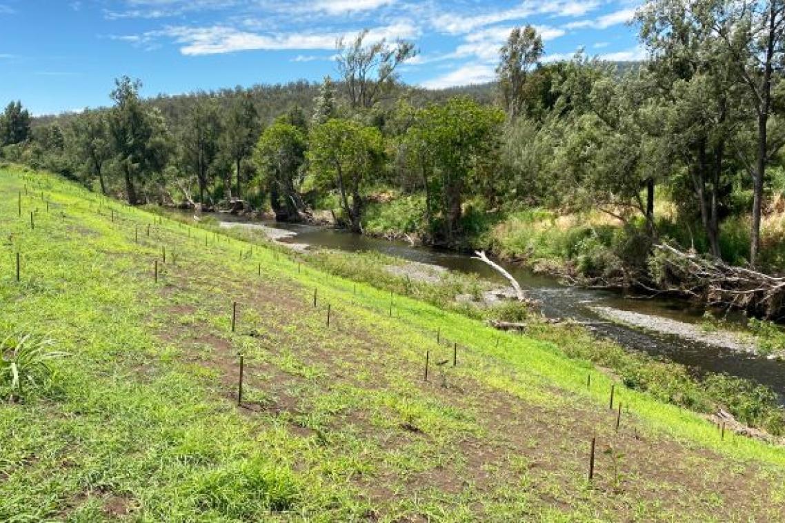 an area of green grass with small posts next to a creek with trees on the opposite bank