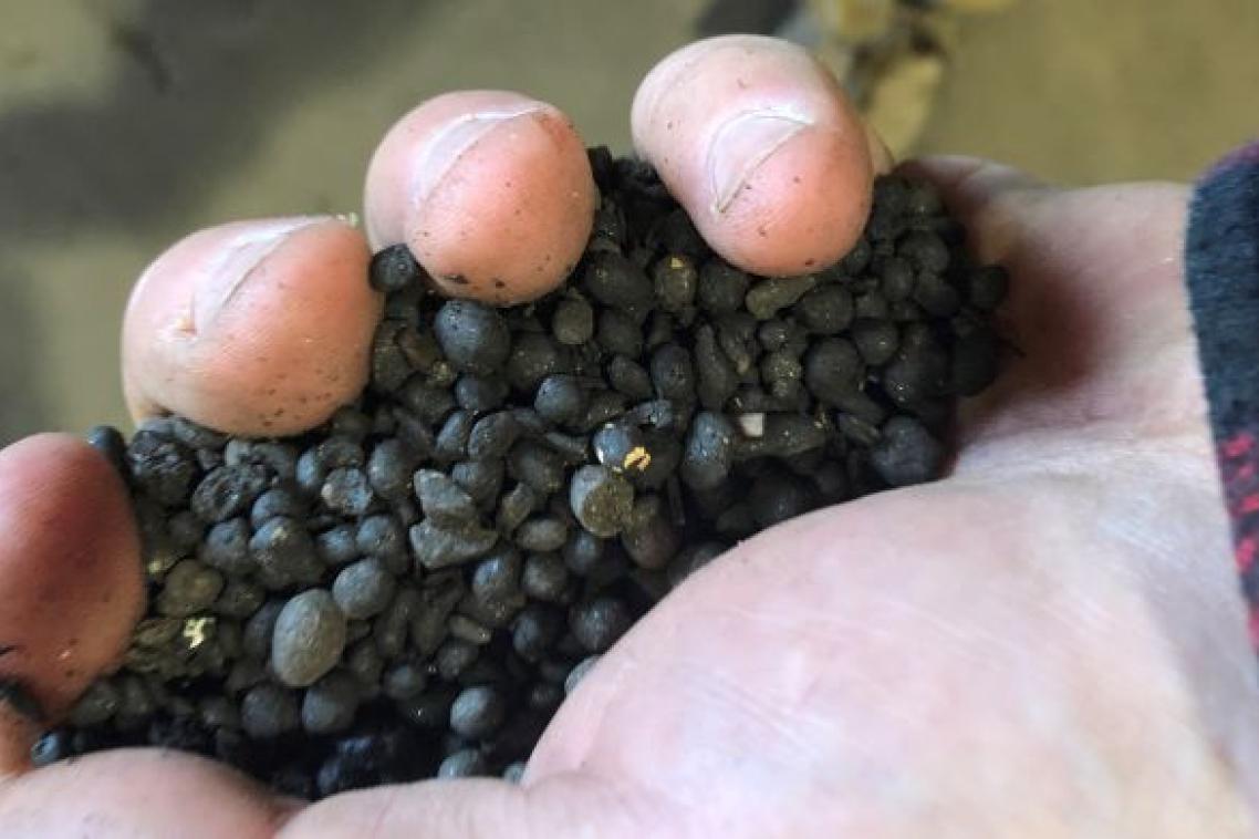 A close-up photo of a hand holding granules of black compost