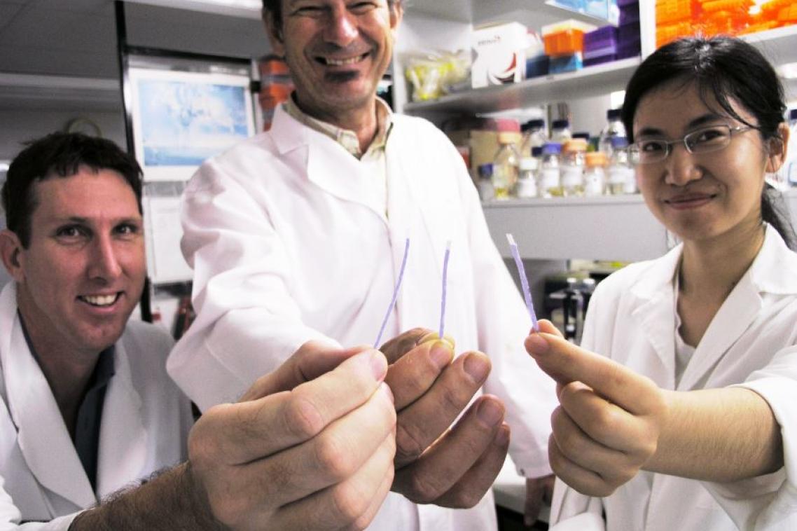 Holding the dipstick technology (from left) Dr Michael Mason, Professor Jimmy Botella and Yiping Zhou