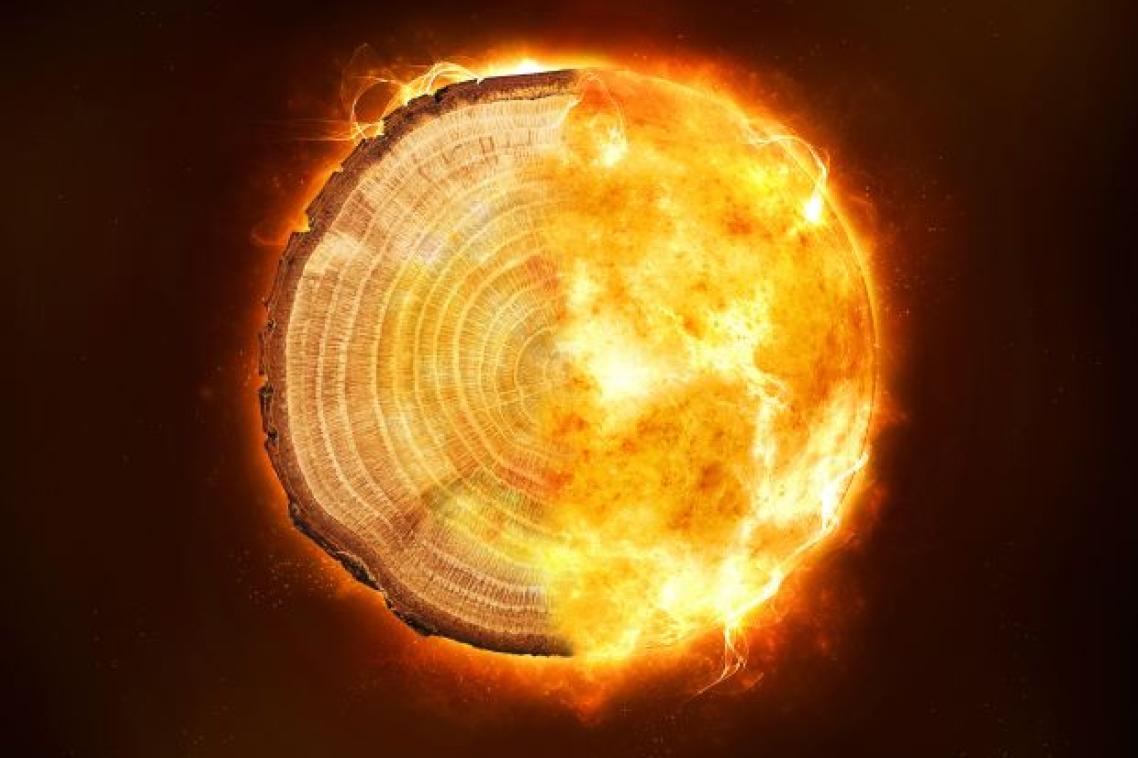 A photoshopped image of a tree ring on a dark background, with one half on fire.