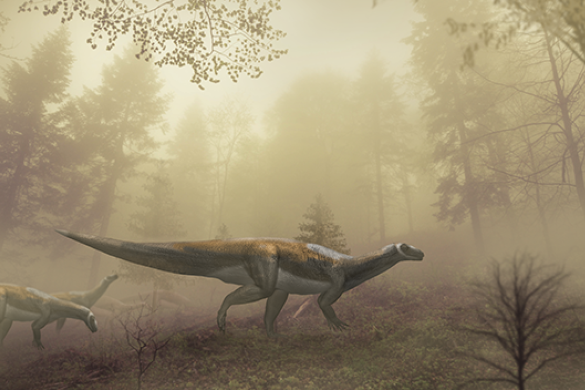 An image of a dinosaur walking through a misty forest.