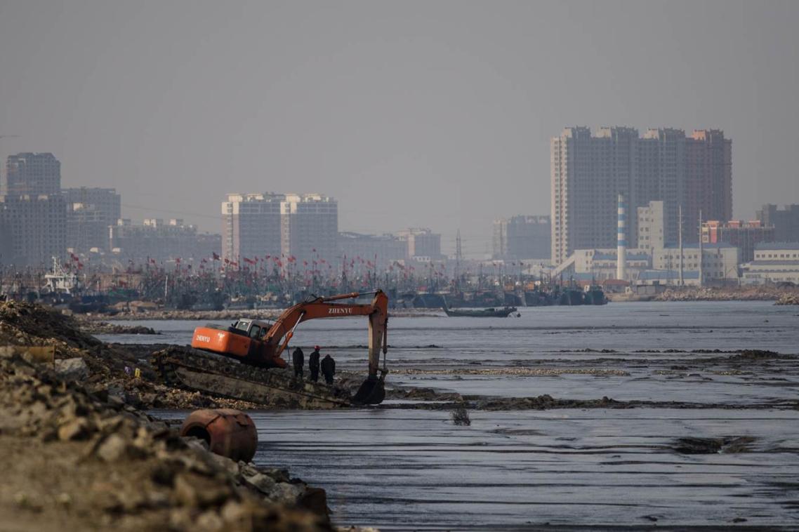 Habitats are turned into dry land - Image: Nick Murray