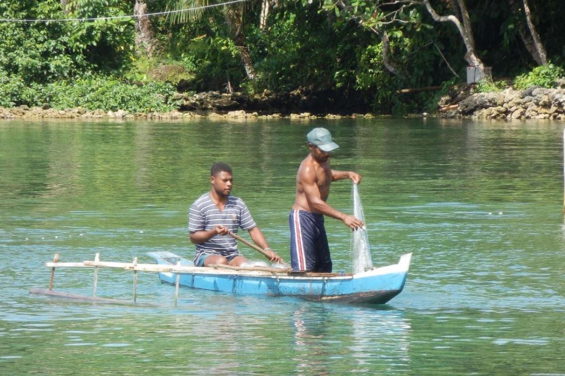 More and more species are being lost to fishers