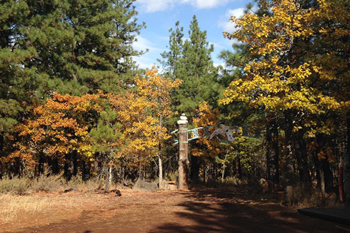 White Eagle Memorial Preserve. Photographs by Jodie Buller.