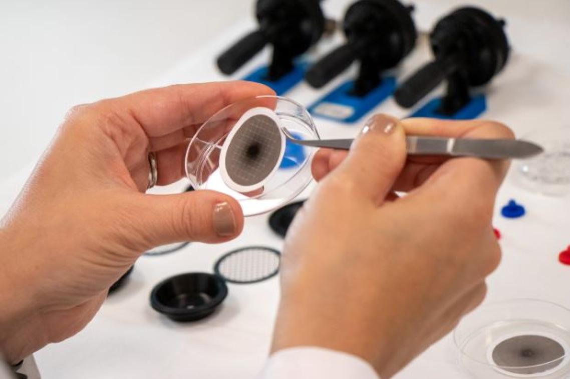a closeup image of hands holding tweezers and a clear dish containing a paper-like disk with a black mark in its centre