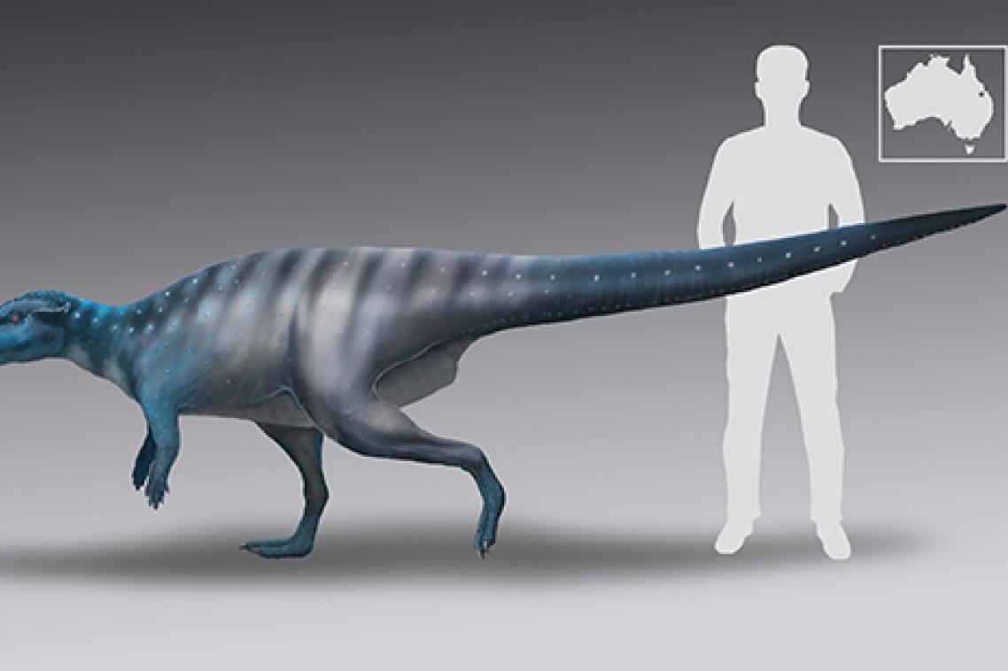 A life-reconstruction of the 200-million-year-old dinosaur track-maker from Mount Morgan. Credit: Anthony Romilio.