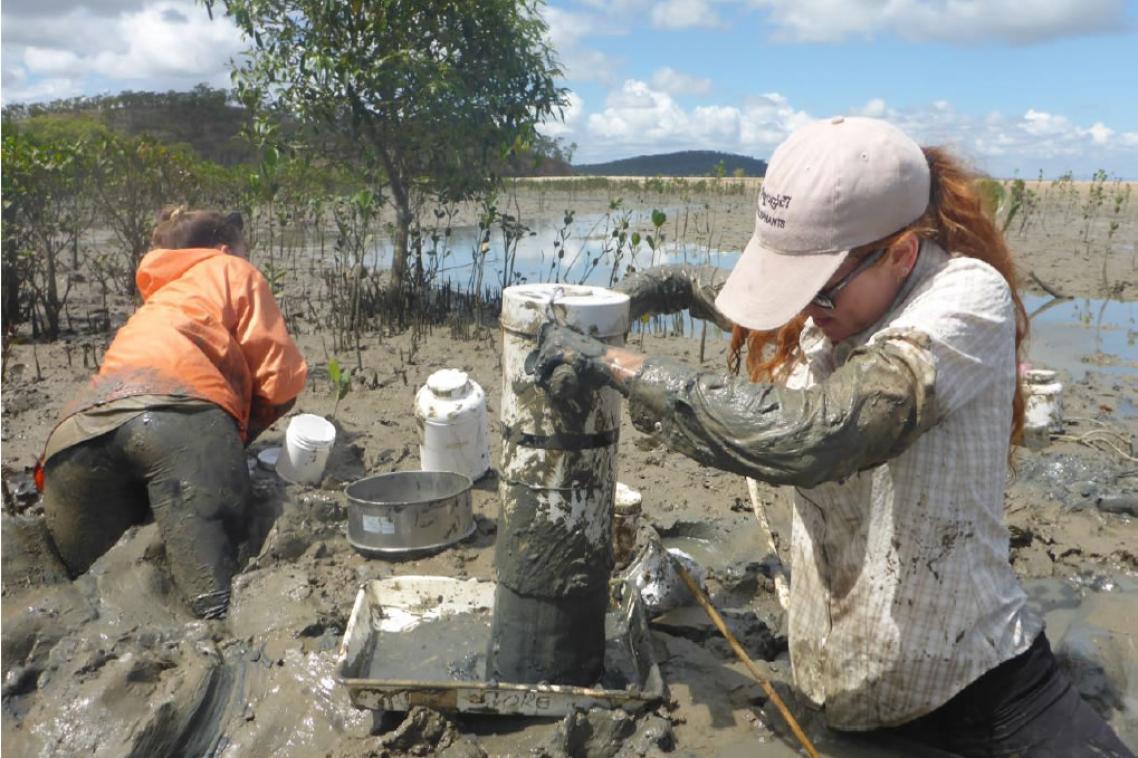 Sampling invertebrates within deep mudflats in Gladstone, Australia. (Credit: Chi-Yeung Choi)