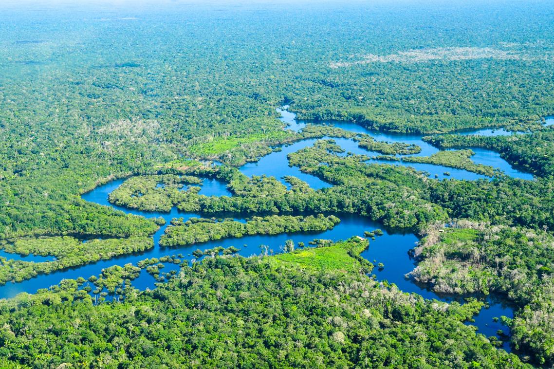 The Amazon rain forest from the air.