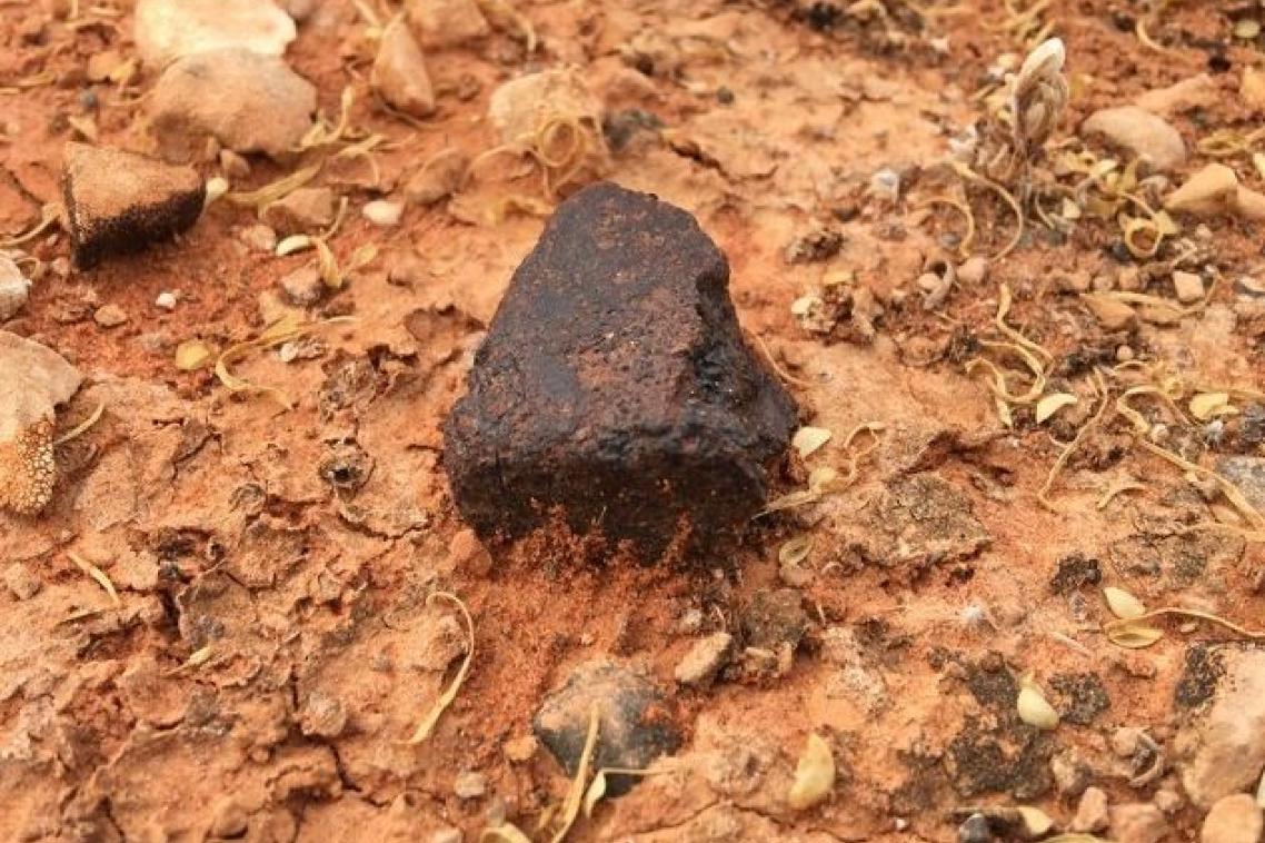 Photo: a stony meteorite from South Australia’s Nullarbor Plain, discovered this year during an annual meteorite recovery expedition led by Monash University collaborators Al Tait, Sasha Wilson and Andy Tomkins.