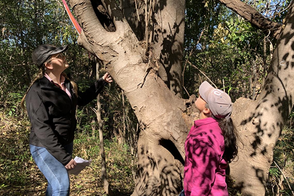 (L-R) UQ’s Ciara O’Brien and Brooke Johnstone sizing up a giant, invasive Chinese elm tree.