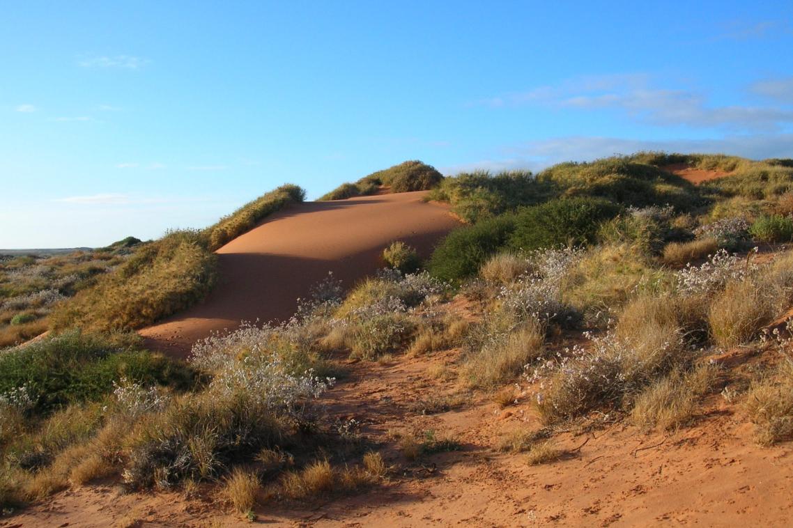 Faure Island in Shark Bay, Western Australia (Credit: Graham Fulton)