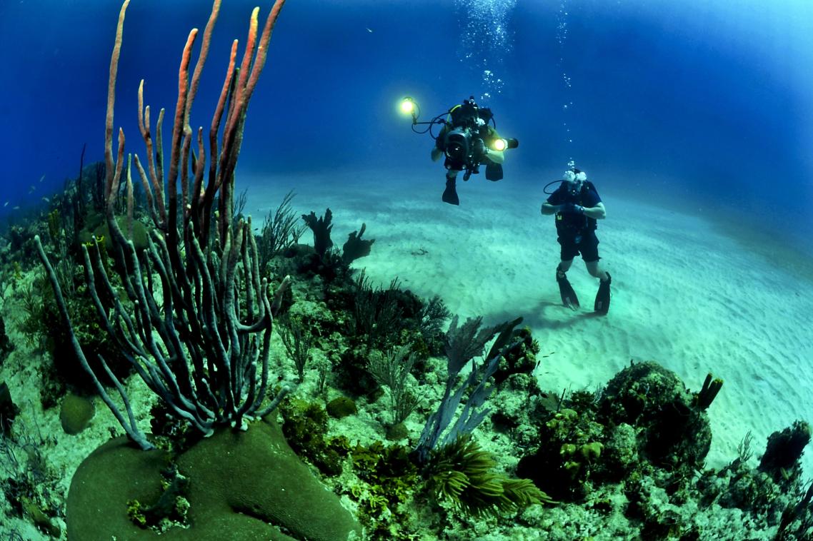 Coral reefs are among the most threatened ecosystems on Earth